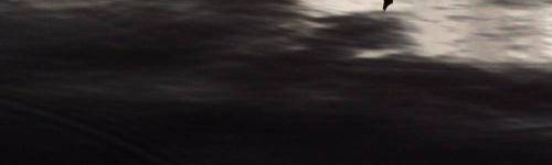 osira-verspyck-waterblad-button